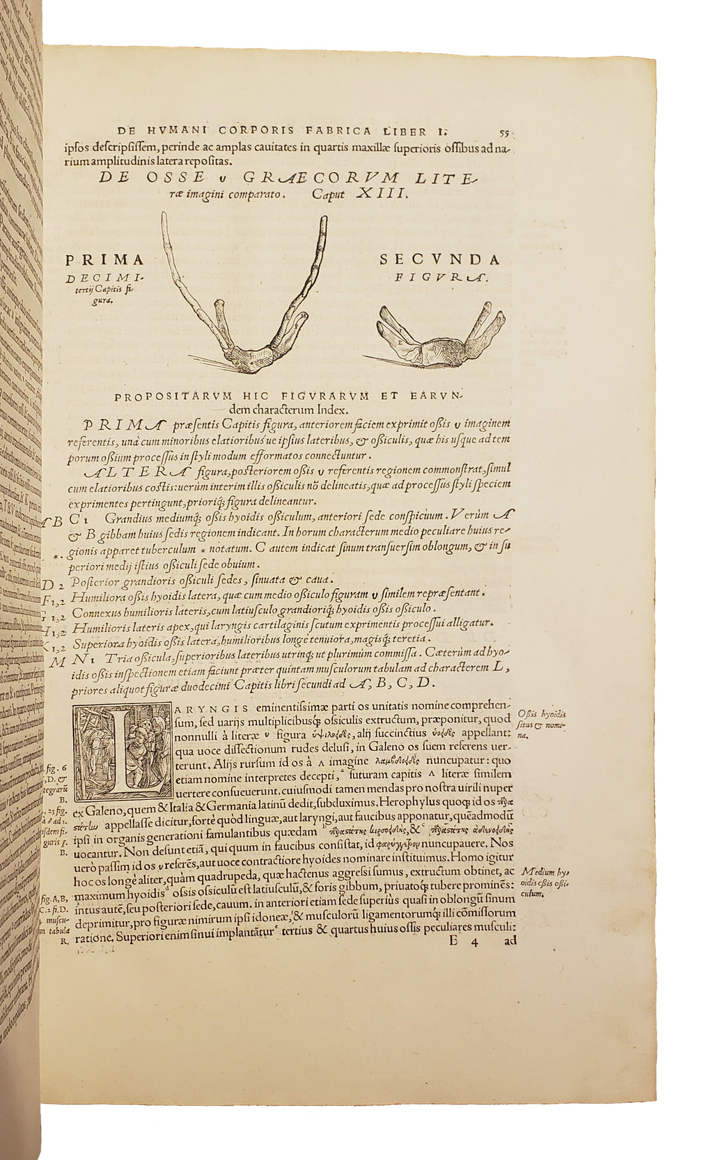 VESALIUS, Andreas.
