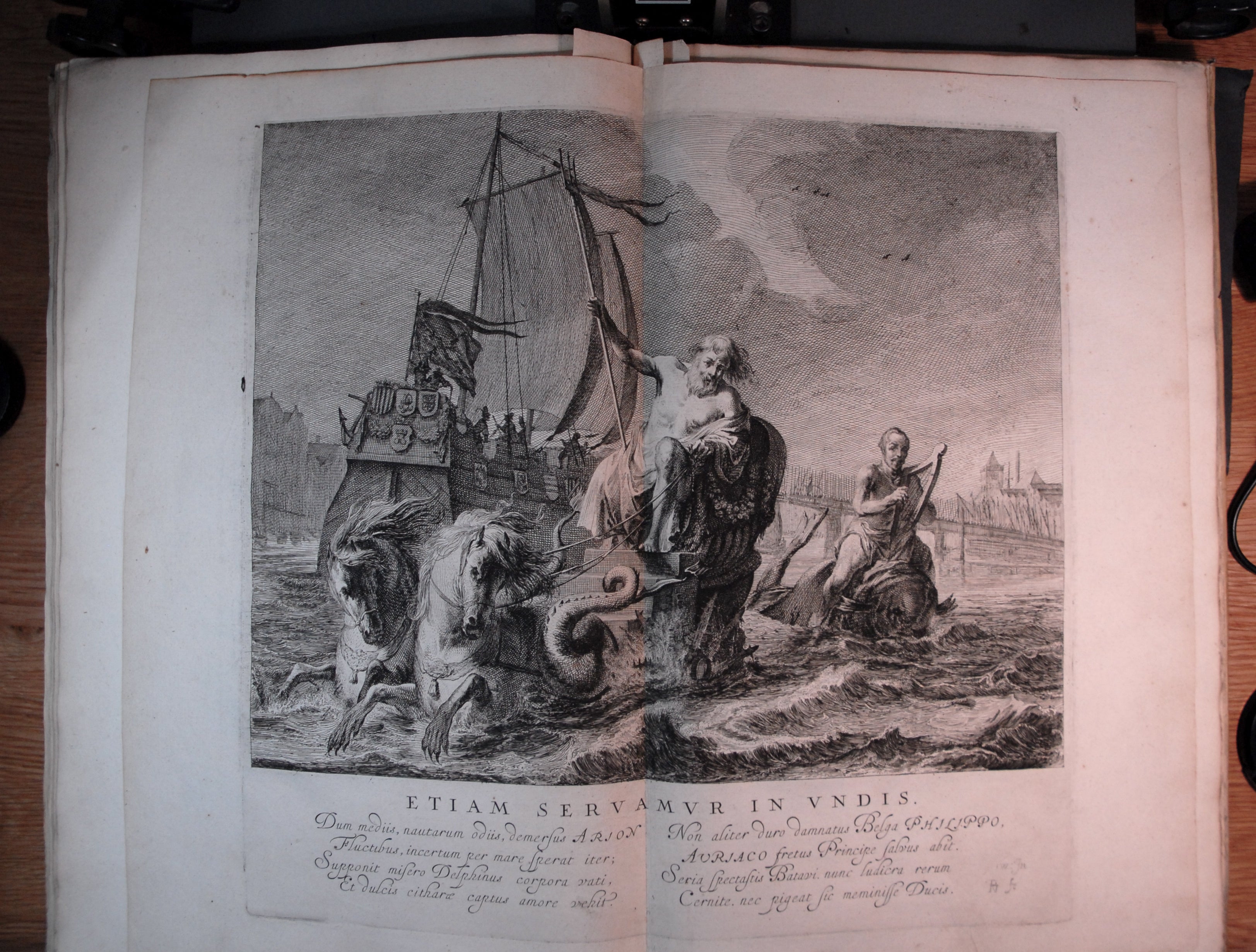 NOLPE, Pieter