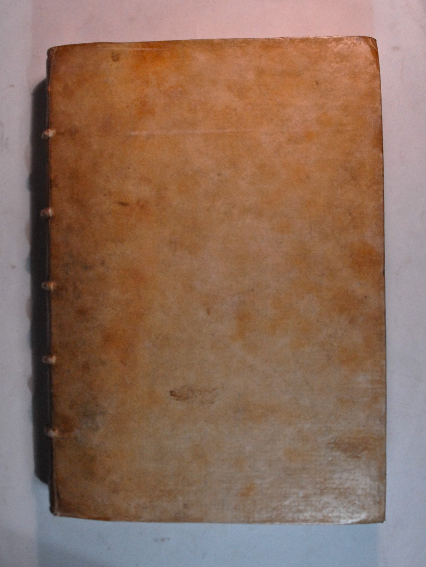 CAMPANUS, Johannes Antonius