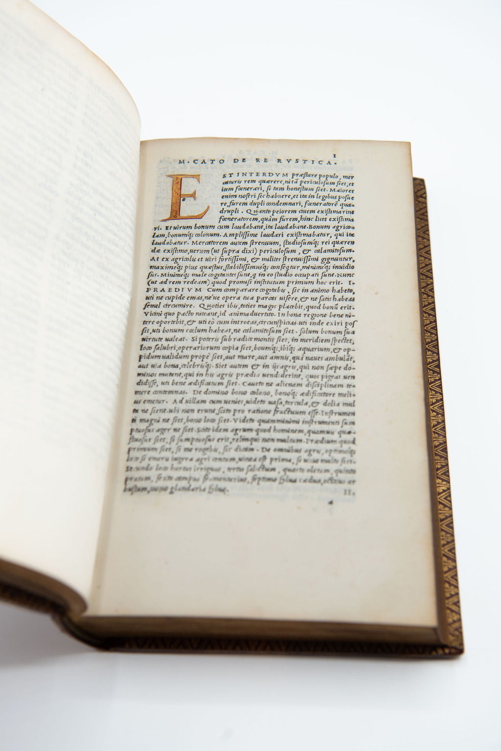 CATO, Marcus Porcius, VARRO, Marcus Terentius, COLUMELLA, Lucius Moderatus, PALLADIUS, Rutilius Taurus