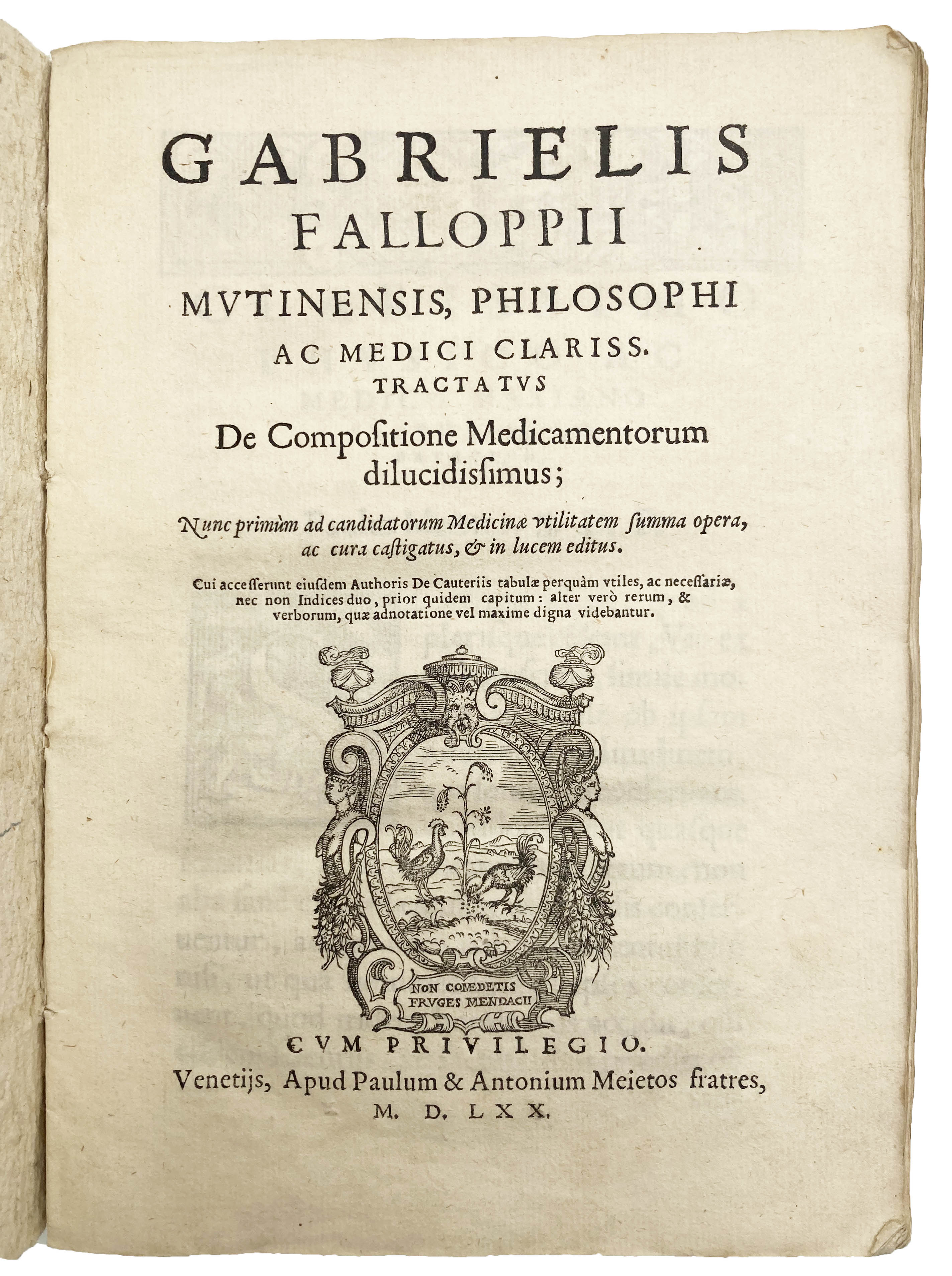 FALLOPIO, Gabriele