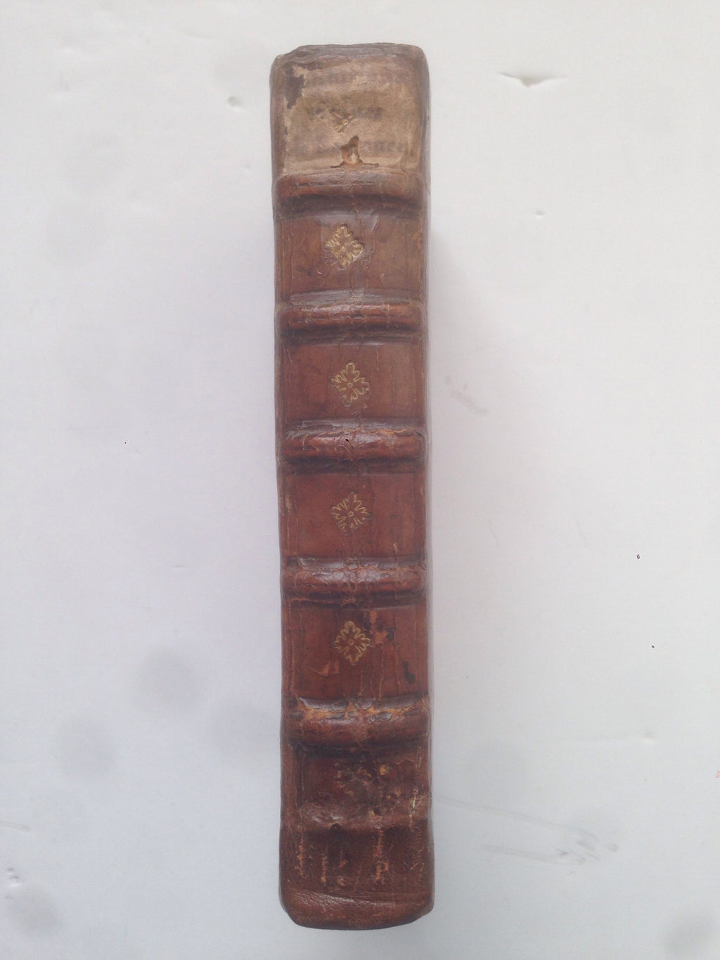 LACTANTIUS, Firmanus