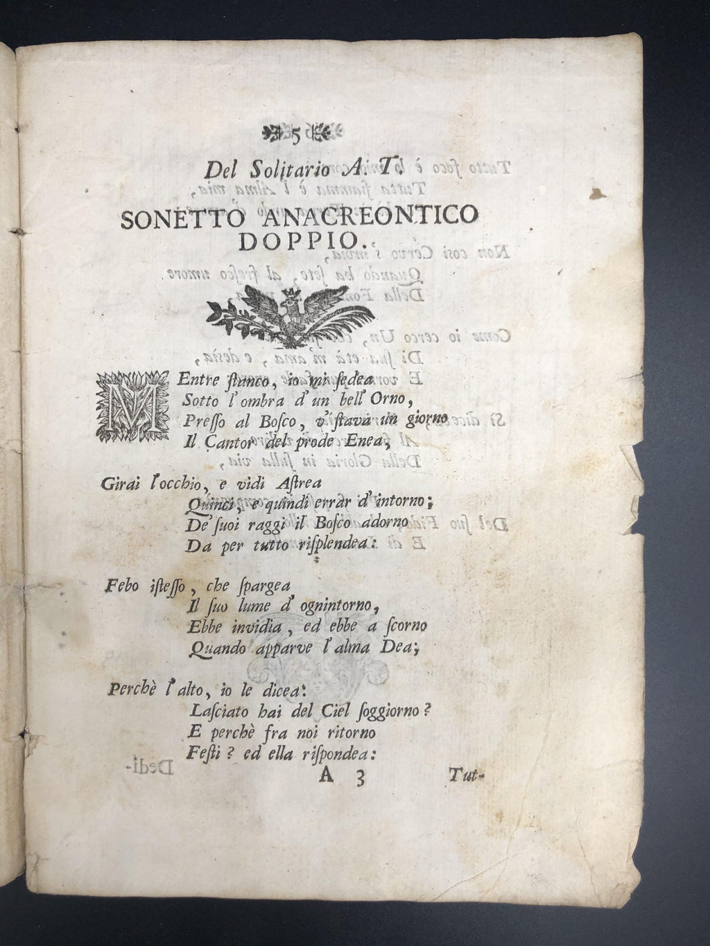 ACCADEMICI TIMIDI