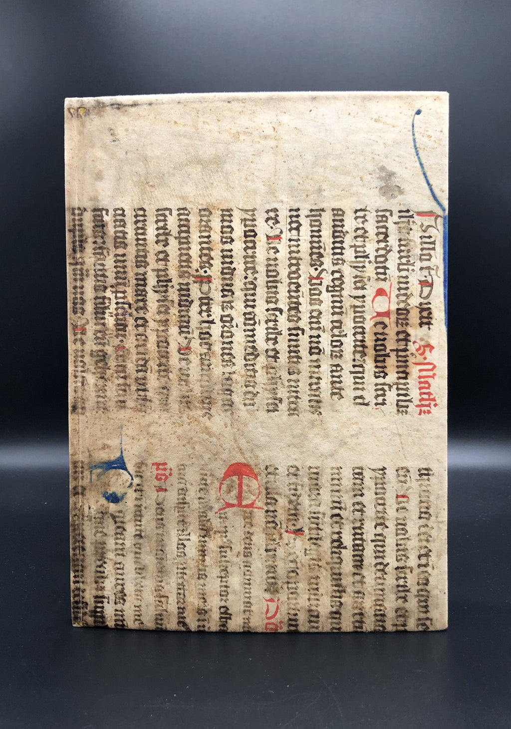 ALBERTUS MAGNUS