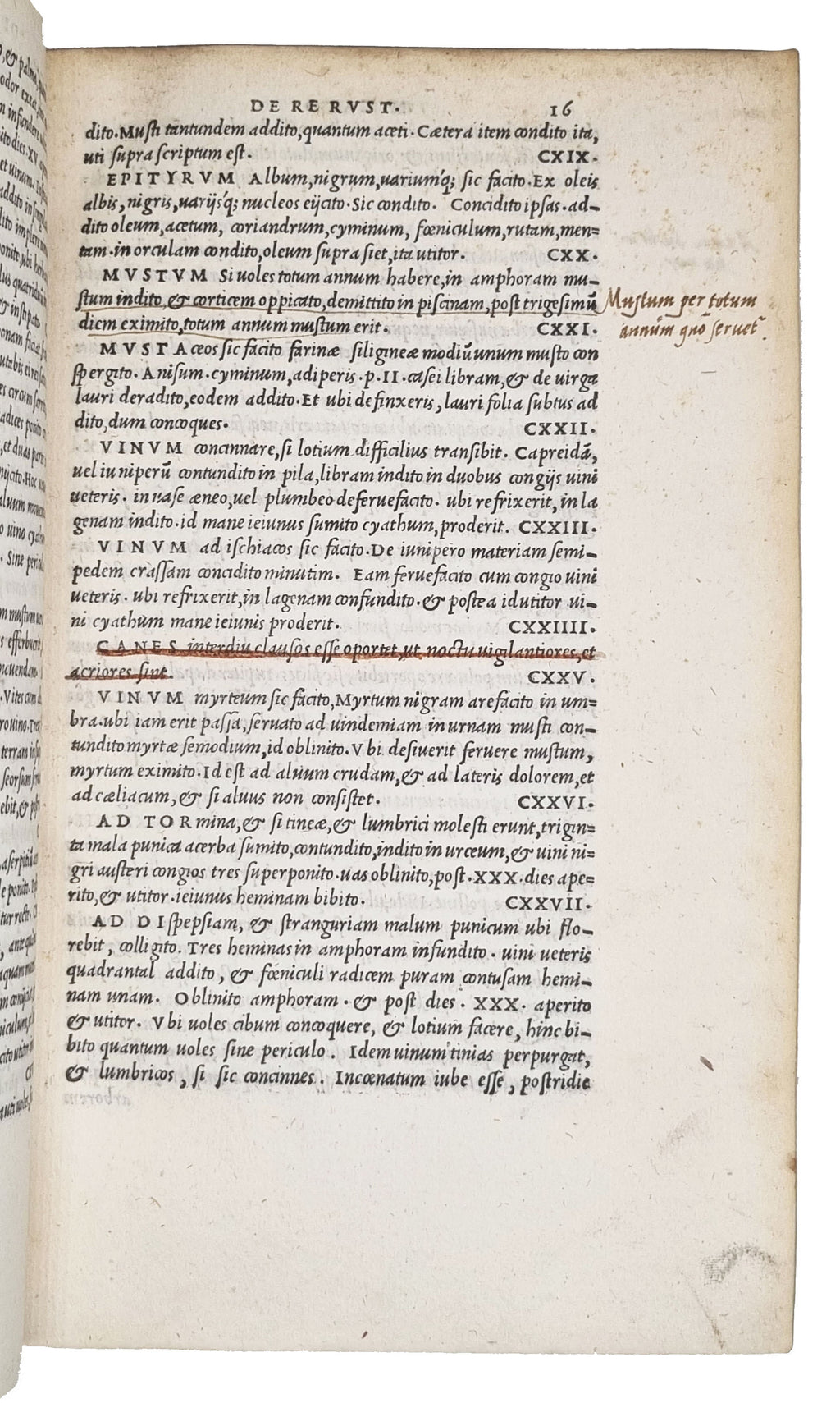 [CATO, Marcus Porcius]