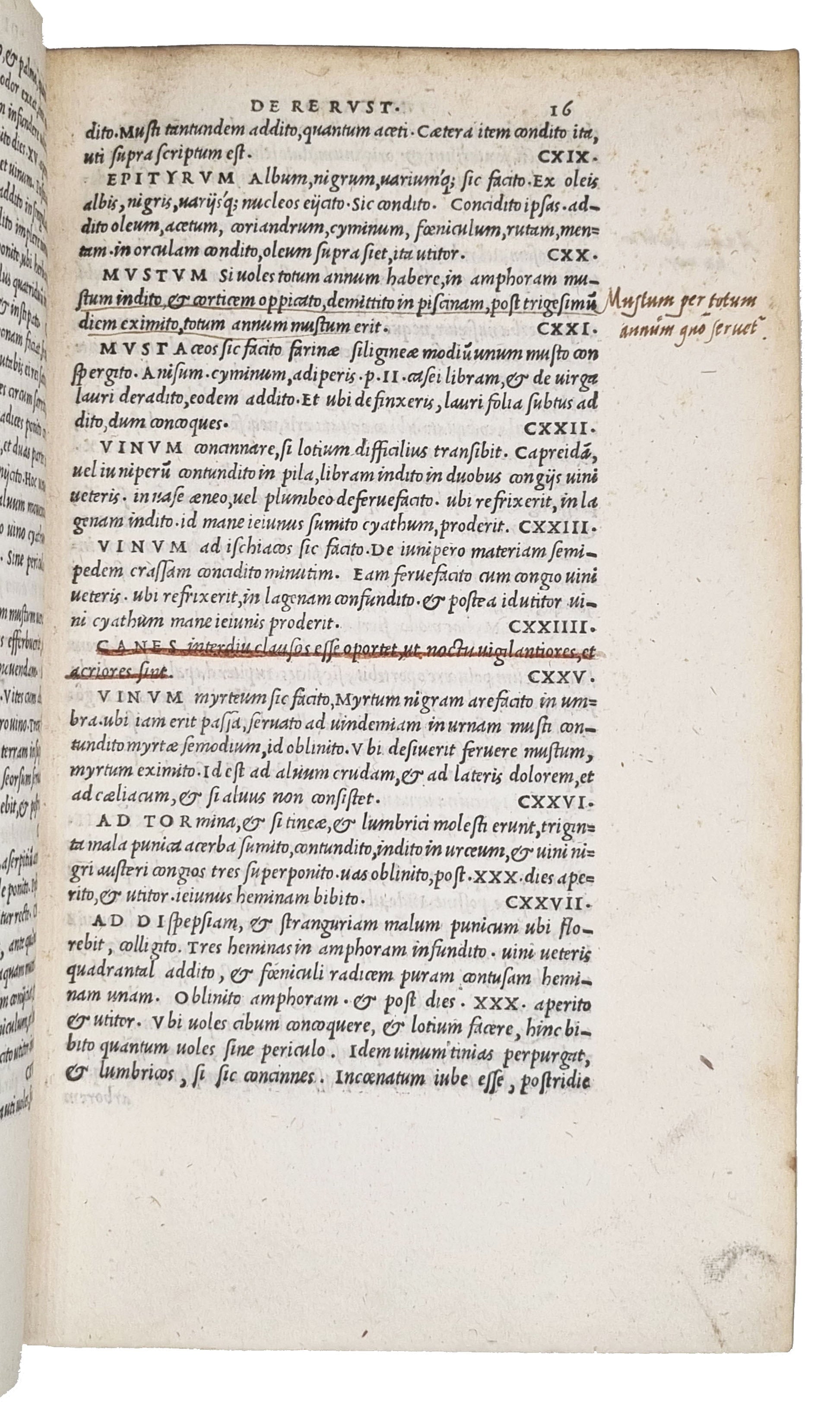 [CATO, Marcus Porcius]