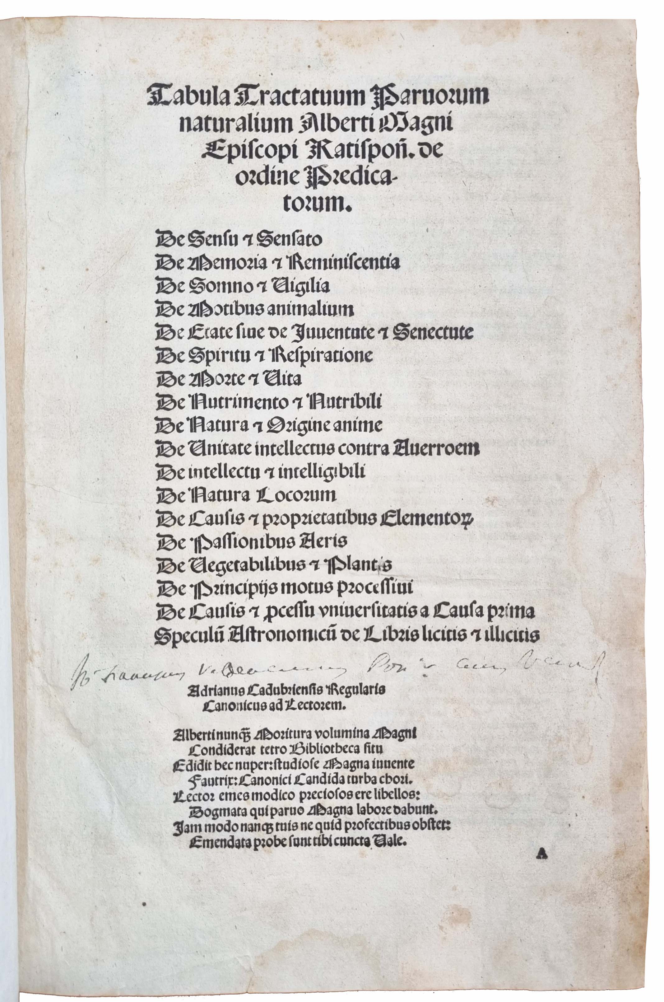 ALBERTUS MAGNUS.