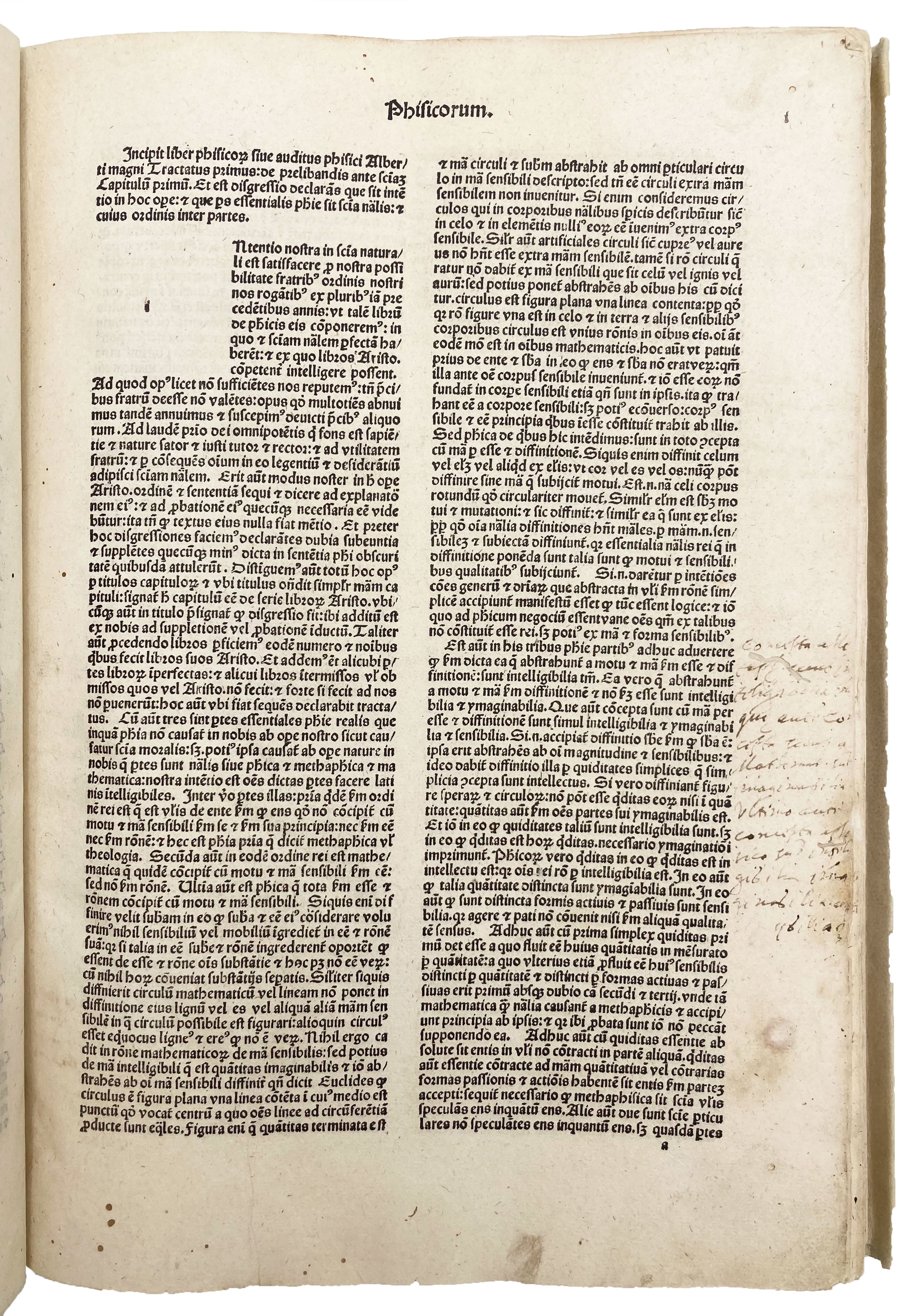 ALBERTUS MAGNUS.
