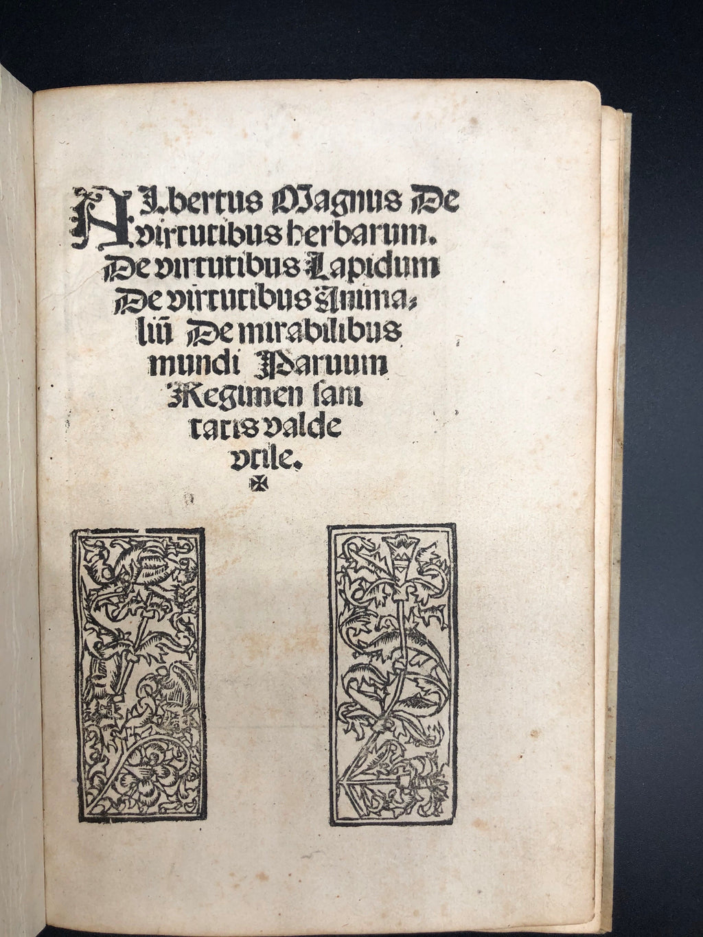 ALBERTUS MAGNUS