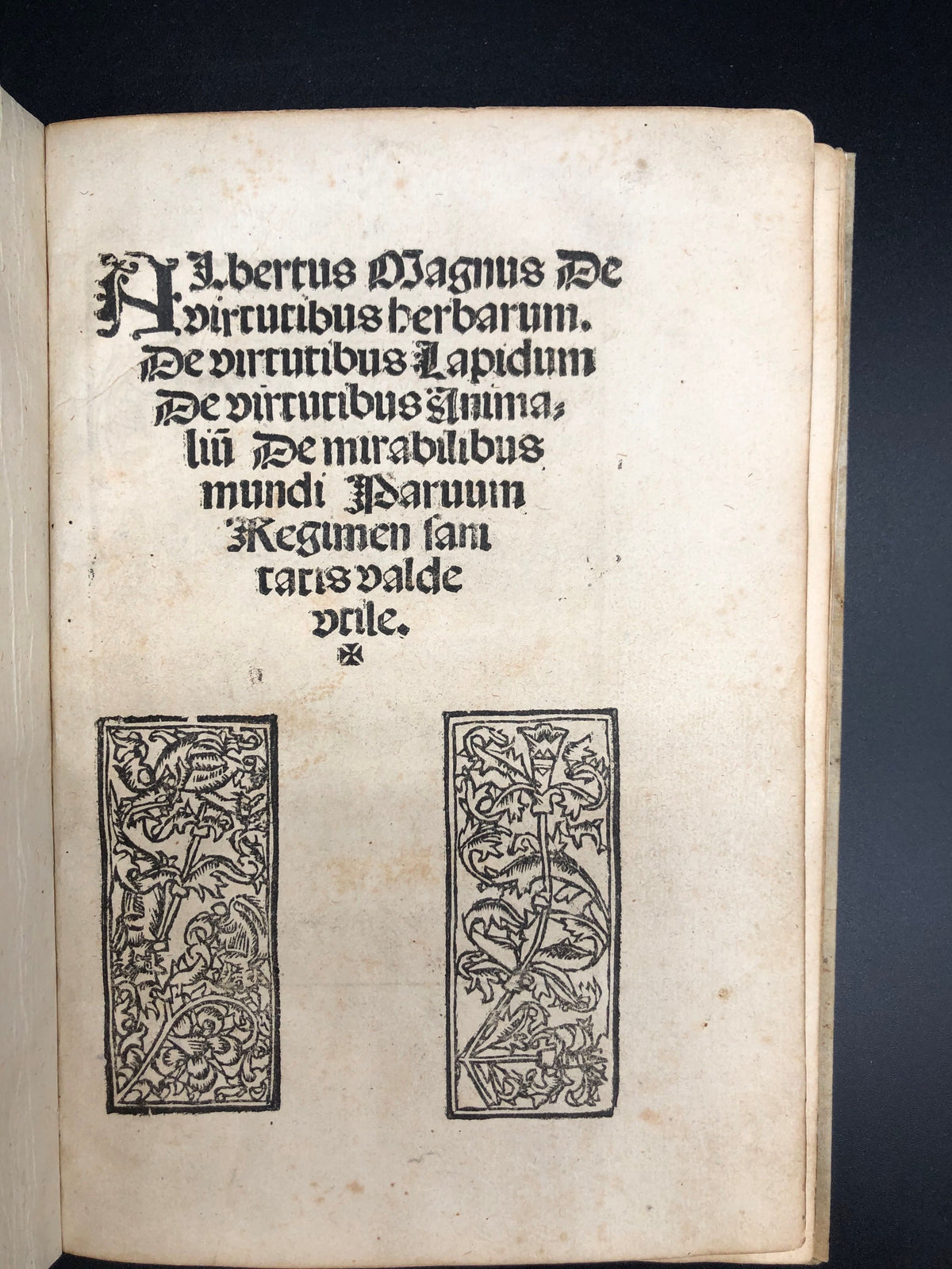 ALBERTUS MAGNUS