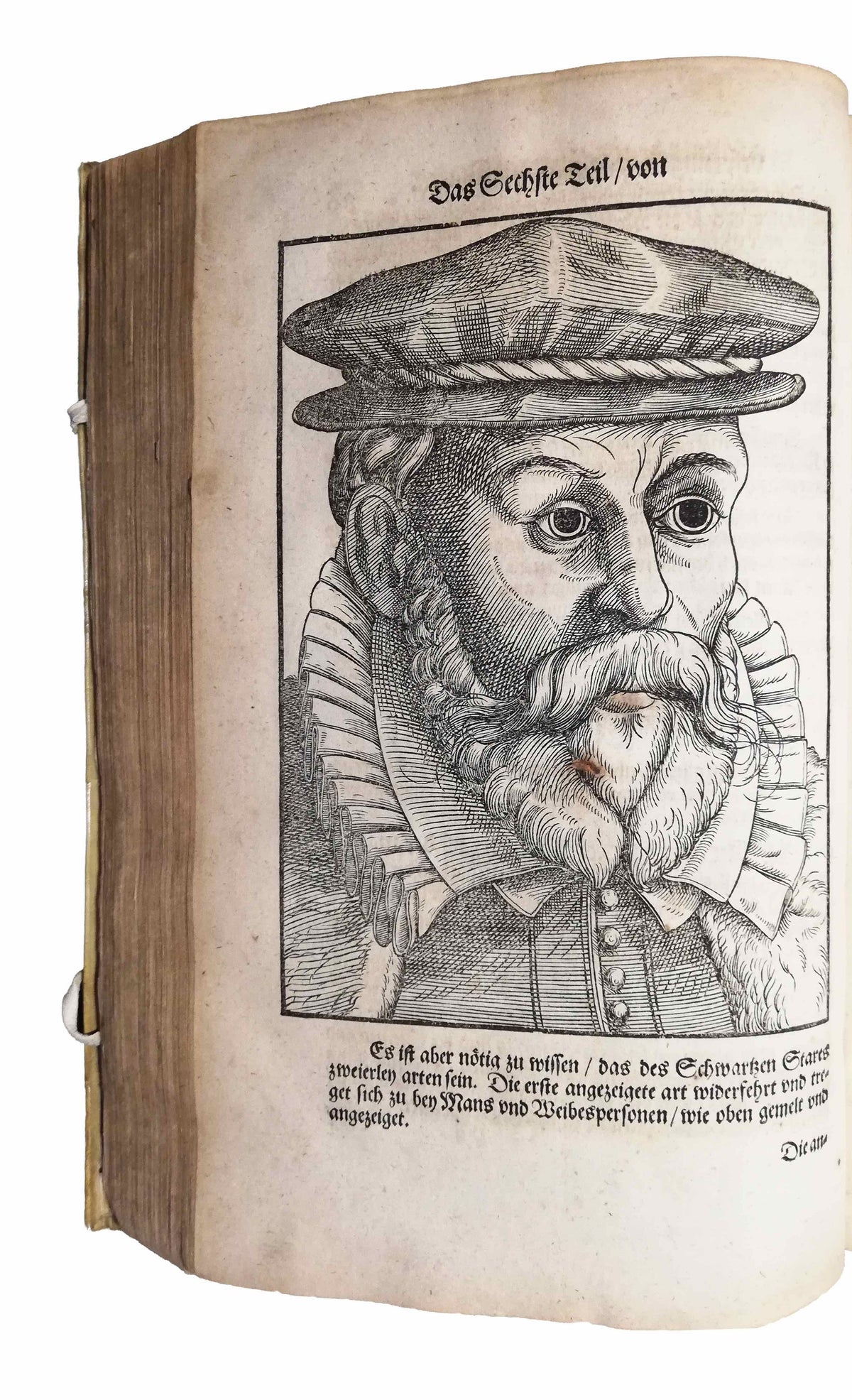 BARTISCH, Georg.